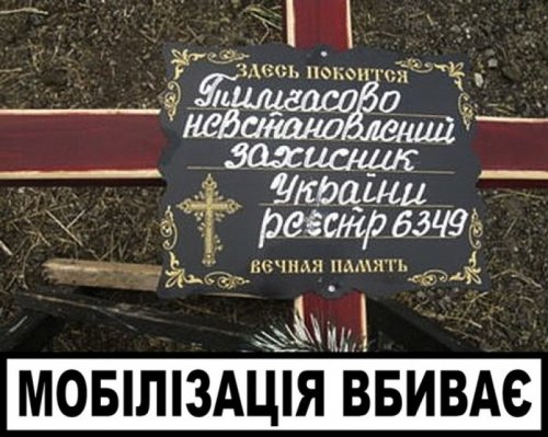 Трупный «урожай»: с осени в зоне «АТО» волонтеры нашли 560 тел украинских военных