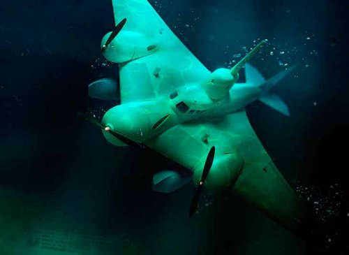 Советский проект летающей подводной лодки