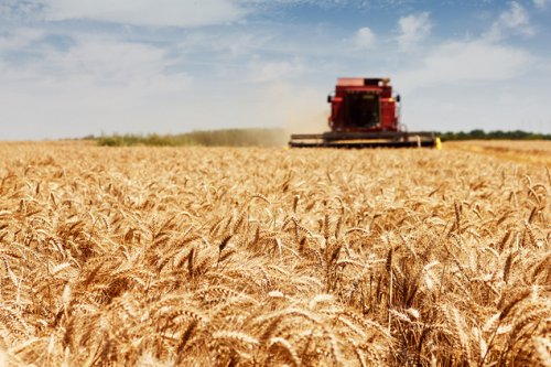 Россия выделит на сельское хозяйство более 2 трлн рублей