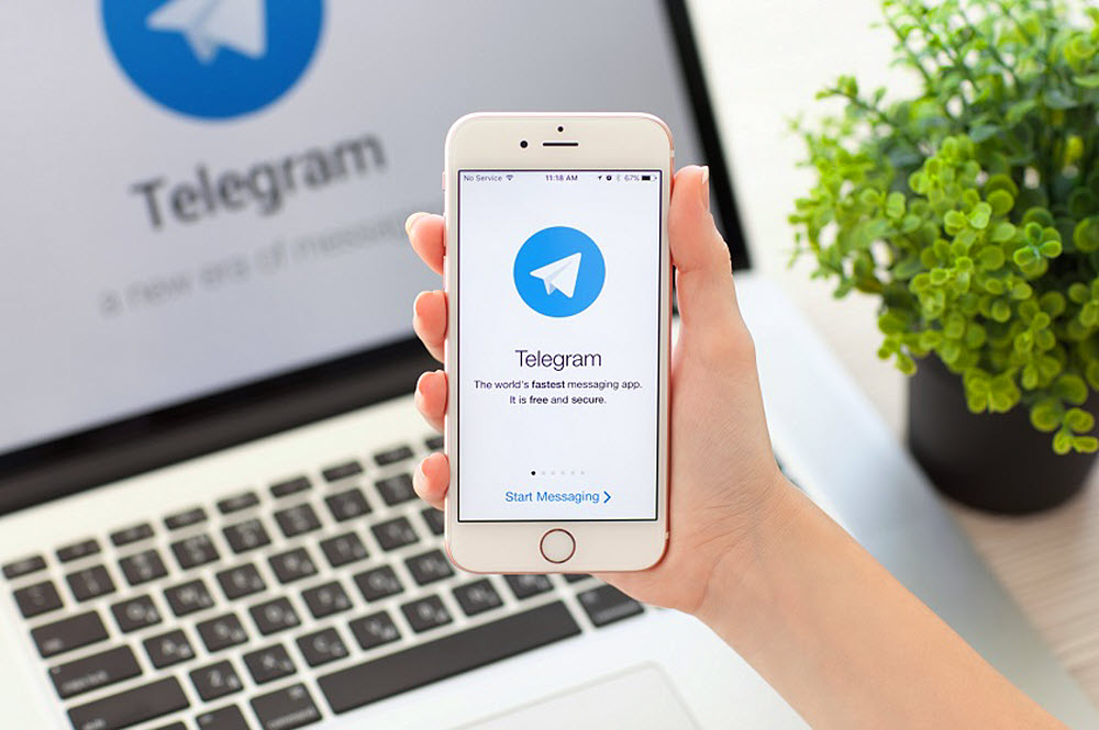 Мессенджер Telegram в США