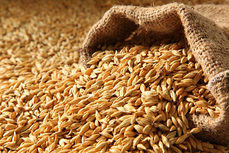 Развенчиваем мифы, что россиян кормят "Фуражным зерном"