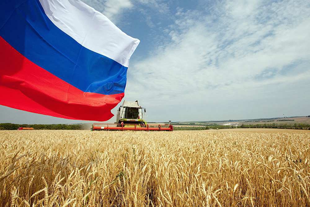 Новый рекорд России по экспорту продовольственных товаров
